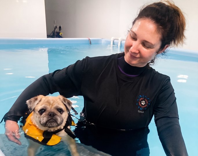 Moray Canine Hydrotherapy