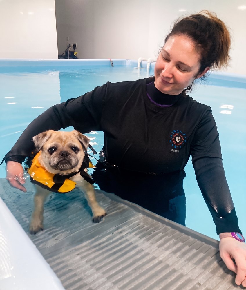 Moray Canine Hydrotherapy