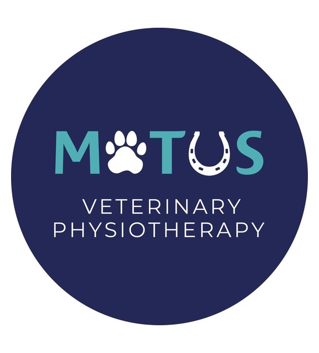 Motus Veterinary Physiotherapy
